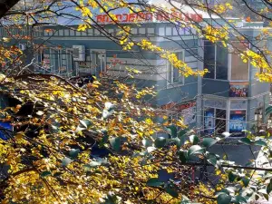Hotel Newland