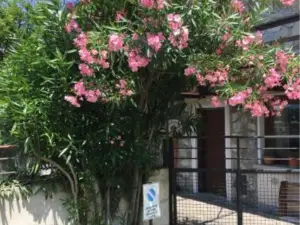 Antica Casa Fenaroli