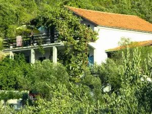 Bellavista Peljesac Peninsula