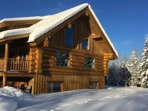 Sawing Logzz Cabin