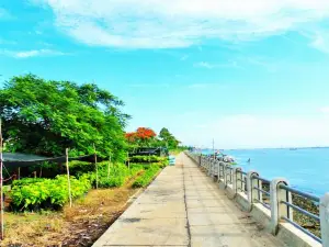 Flower & Frog Homestay