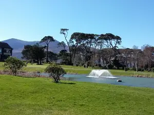 綠色田野旅館