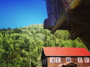 Sevletunet B&B and Cabins
