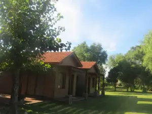 Reina de las Cortaderas