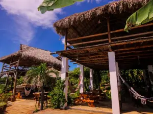 Miramar SurfCamp
