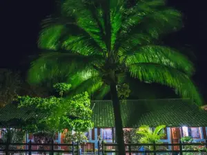 Club Surf Popoyo