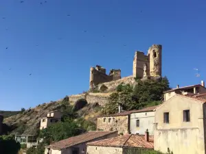 Casa Lola
