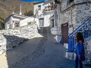 La Casa de la Bombilla Verde