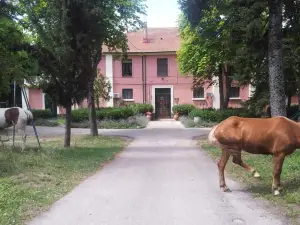 Country House Villa delle Rose Agriturismo
