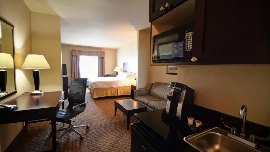 Holiday Inn Express & Suites Del Rio
