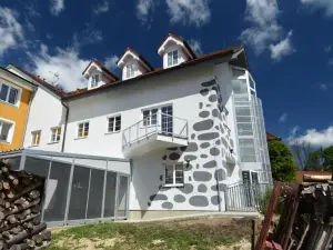 Apartments Otre Frymburk