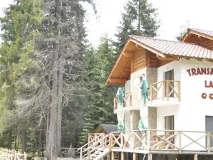 Complex Transalpina Lac