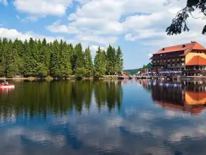 Berghotel Mummelsee