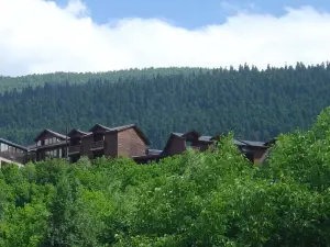 Svaneti Apartment's - Cozy Mountain Apartments in Mestia