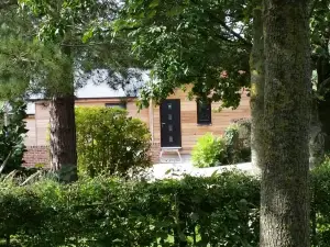 Hillside托爾農場，山林小屋