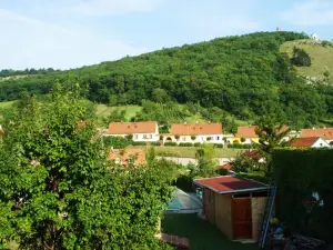 Alva Pension 2