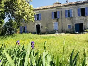 Domaine Mas Pigné