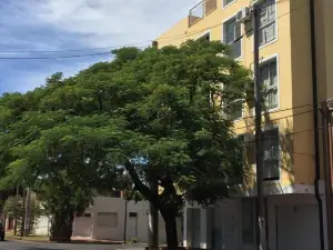 Departamentos Rodrigo