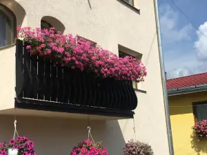 Pensiunea Alecsandra