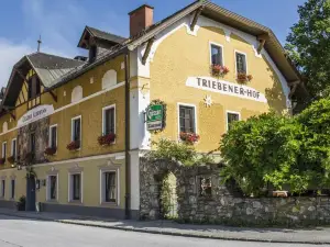 Triebenerhof