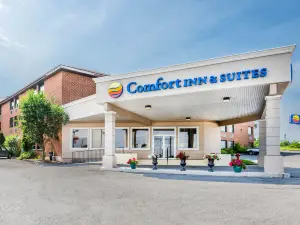 Comfort Inn & Suites