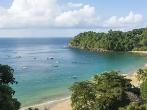 Castara Retreats