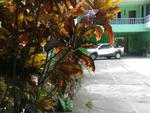 Pousada Preocupacao Zero