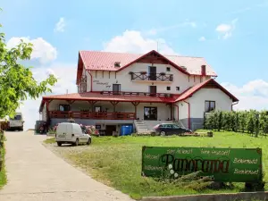 Panorama Cehu Silvaniei