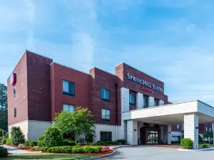 スプリングヒル スイーツ ステートボロ ユニバーシティ エリア