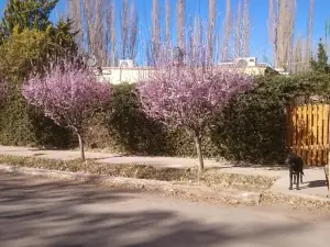 El Ensueño