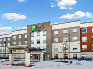 Holiday Inn Express & Suites AUSTIN - ROUND ROCK AREA by IHG