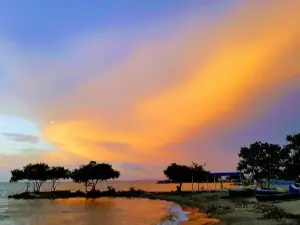 Costa de Vikingos