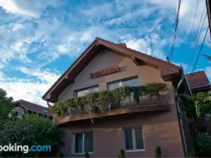 Pensiunea Miorita Arad