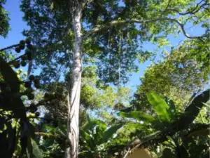 Chalés Sítio do Alemão