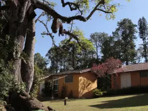 Hospedagem Fazenda Nova América