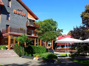 Nerija