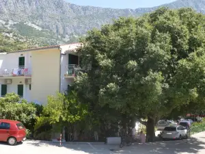 Apartmani Roko