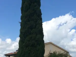 Borgo Buciardella