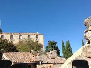 Un Patio en Luberon