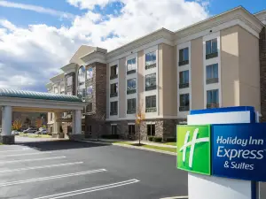 Holiday Inn Express & Suites STROUDSBURG-POCONOS by IHG