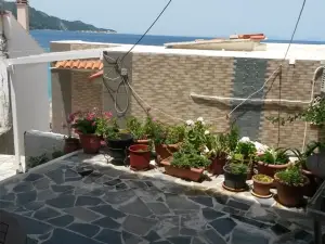 Green Hill Seaside Studios