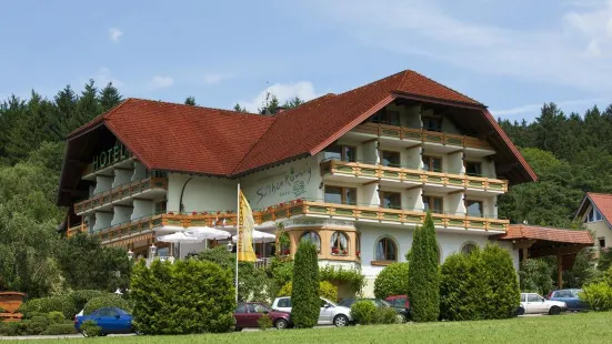 ジルバーコーニッヒ シュヴァルツヴァルト ホテル リングホテル