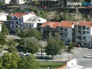 Hotel Leder