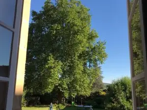 Le Clos des Platanes