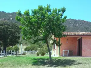 Il Falconiere