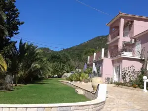 Sami View
