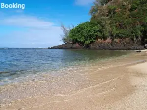 Kamahana 24