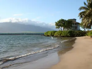 Maui Tranquility