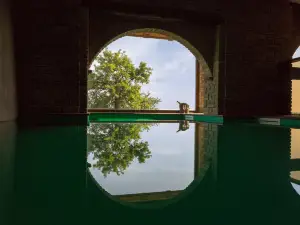 特泊基魅力住宅