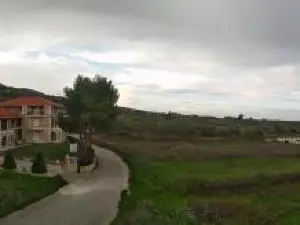 Parashis Studios